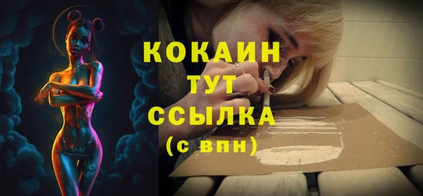 бошки Мегион