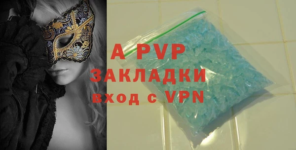 прущие грибы Михайловск