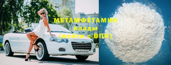 прущие грибы Михайловск