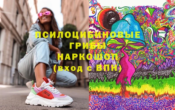 бошки Медвежьегорск
