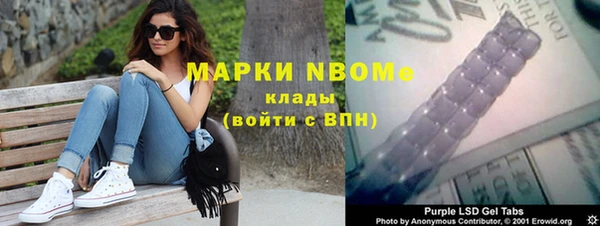 прущие грибы Михайловск